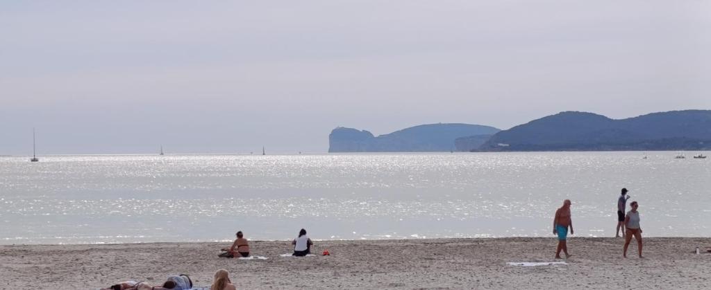 LE VELE ALGHERO - foto 3