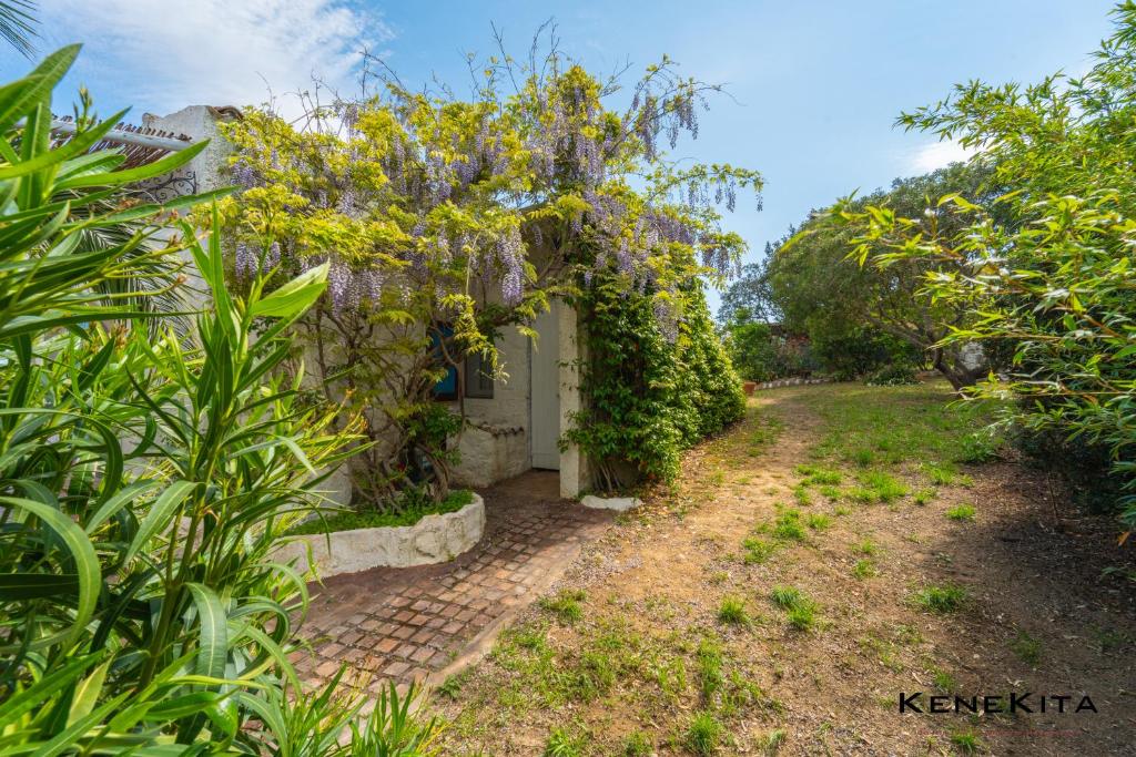 MIRAMARE HOUSE - foto 15