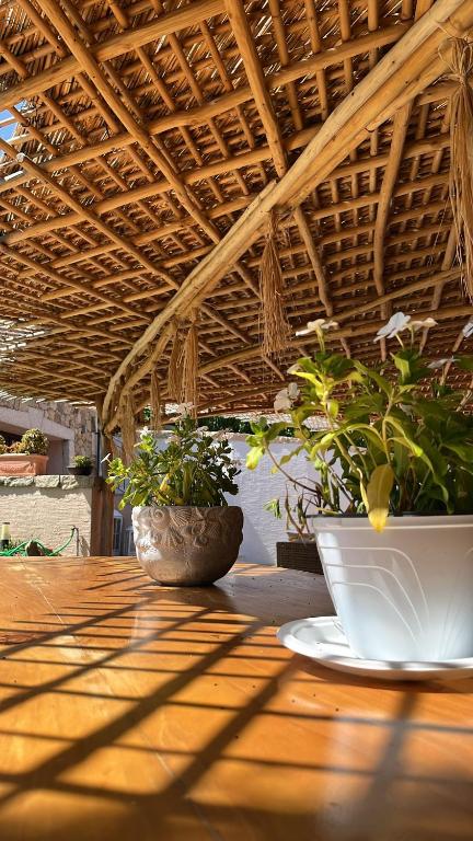 VILLA JASMINE SMERALDA - foto 4